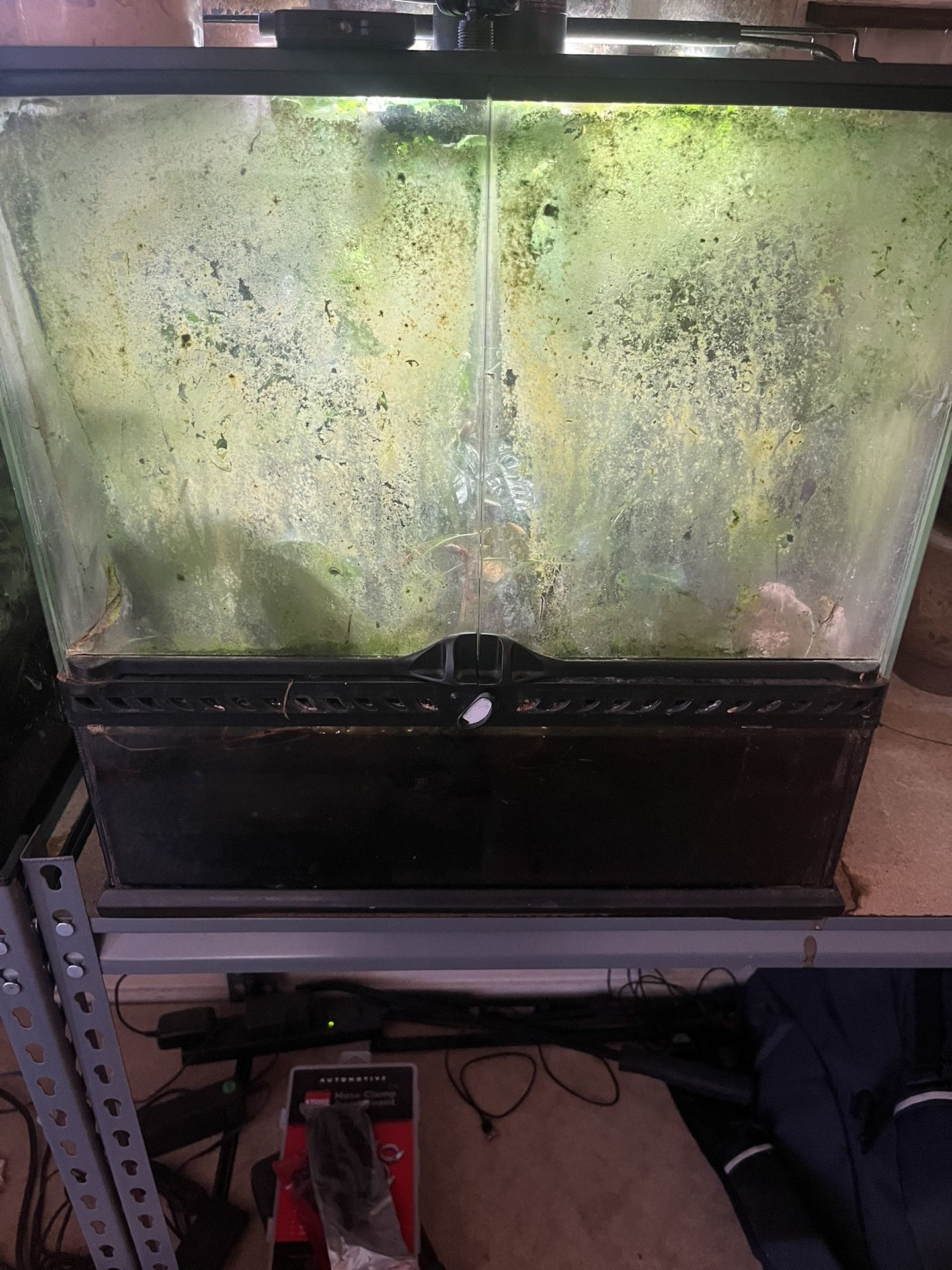 Terrarium