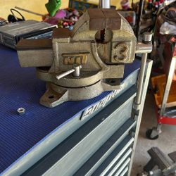 NIT.  VICE.  N. 3.   $50