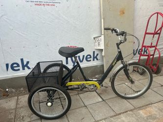 Adult tricycle