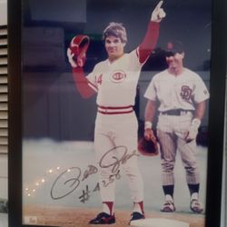 MLB Memorabilia