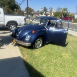 bettle 1969