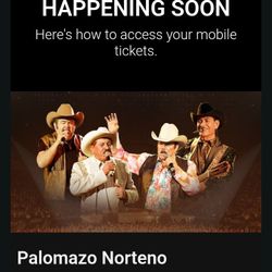 Concert Tickets