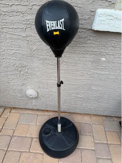 Everlast adjustable speed bag
