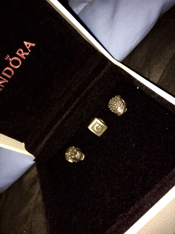 Pandora Charms