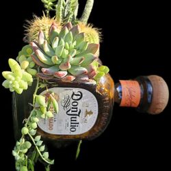 Upcycle Tequila Bottles 