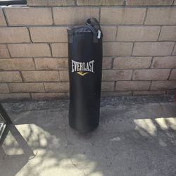 Punching Bag