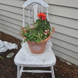 Vintage Chair W Plants