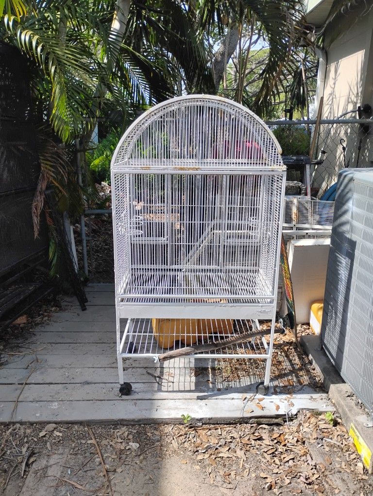 Bird cage
