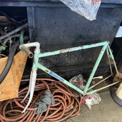 Bianchi Bike 