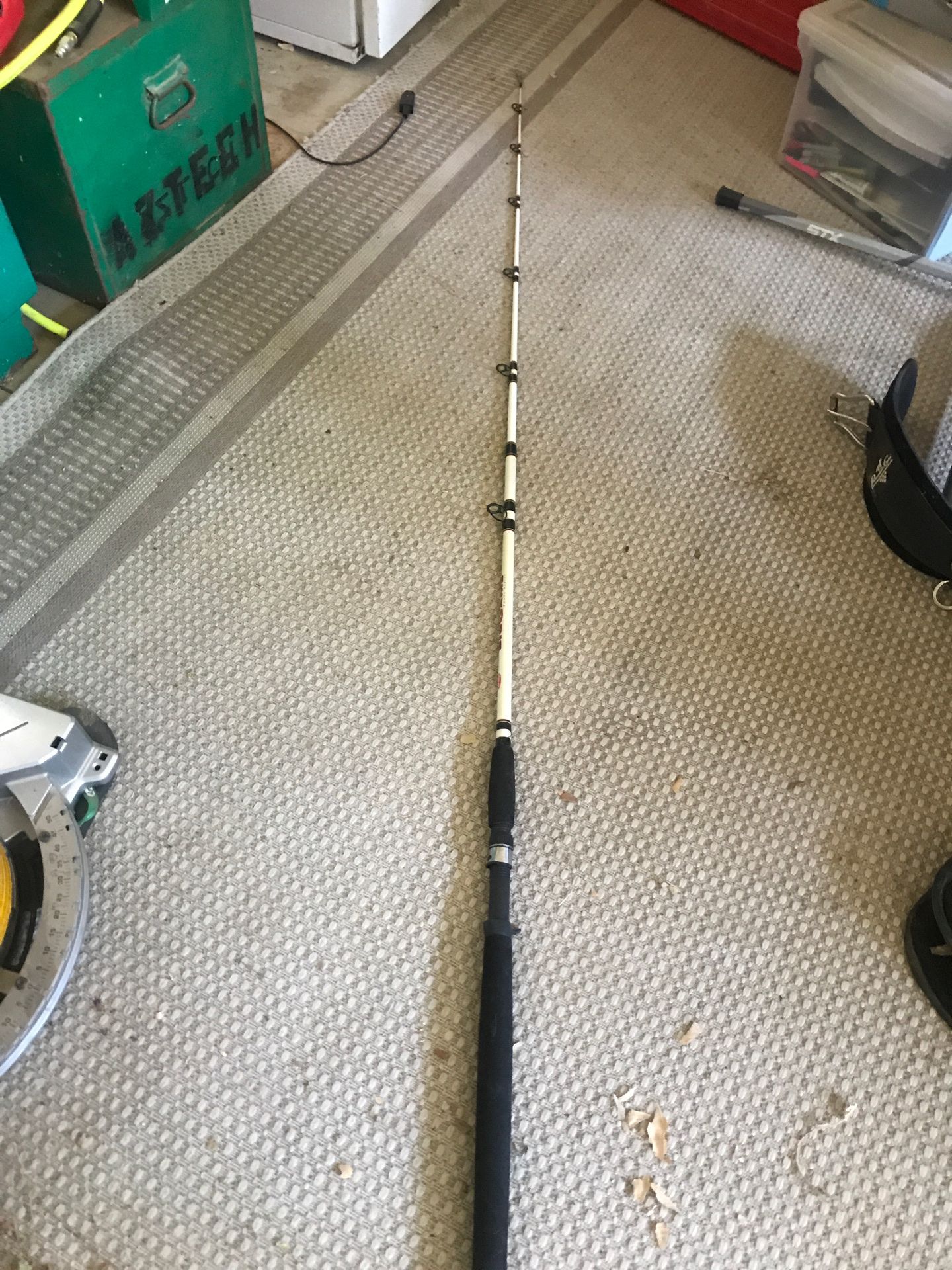 Berkley Big Game fishing rod