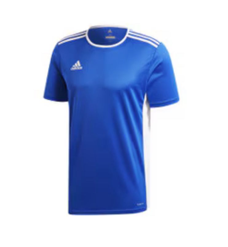 NWT adidas Men's ENTRADA 18 Jersey