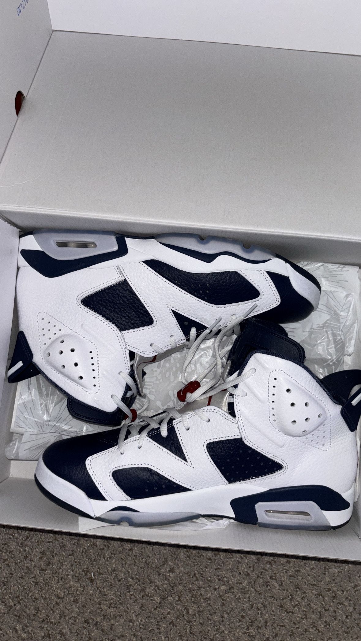Retro Jordan 6