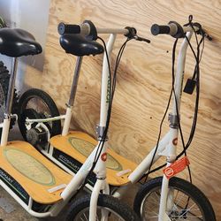 Razor Ecosmart Scooter