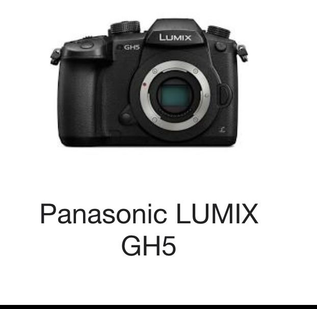 4k Camera! (2) GH5 And G9 For Sale W/ Battery grip