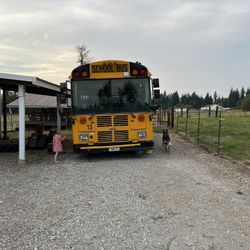 School Bus (Skoolie)