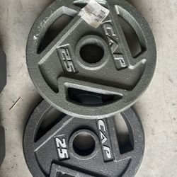 New pair of 25lb olympic plates