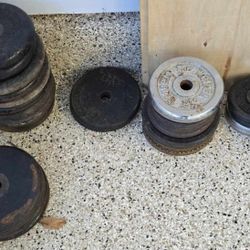 Assorted Standard Size Weight Plates