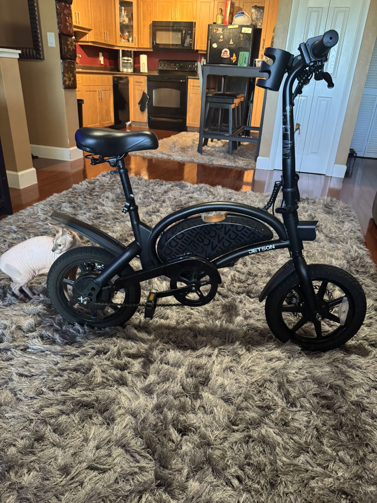 Electric bike