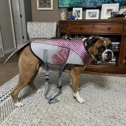 2x Life Vest For Dog