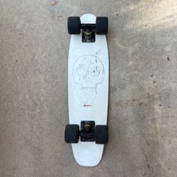 Landyachtz penny board