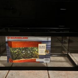 20 Gallon (long) Aquarium 