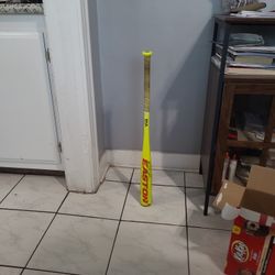 Baseball Bat