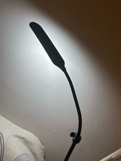 Moving Sale - Floor lamp