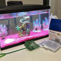 Fish Tank With Everything In The Picture Included 