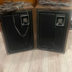 Pair Of Speakers