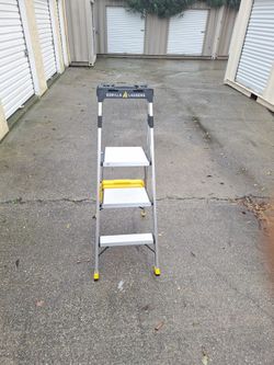 Safe, Combo SafeLadder, Gorilla