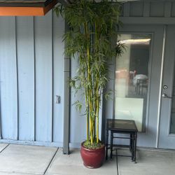 Artificial Bamboo Plant- 8 ft. Tall