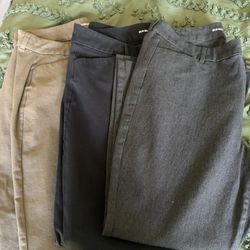 Women’s Size 16 Pants