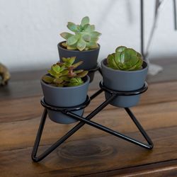 Mid Century Modern Atomic Geometric Plant Stand