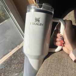 Stanley Water Bottle  