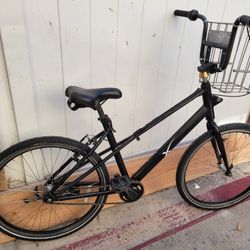 SpaceX Beach Cruiser/Basket 