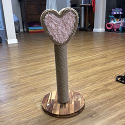 Cute Cat Scratching Post