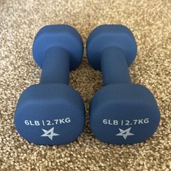 6lb Dumbbell Pair 