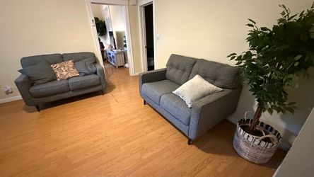 Gray Fabric Loveseat Set of 2 free delivery