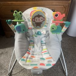 Baby Bouncer 