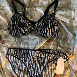 Hsia Zebra Mesh Bra And Panty Set Sz 38 Dd and Xl