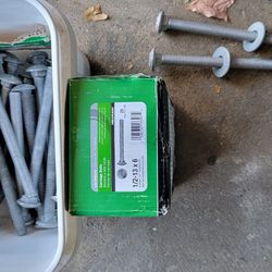 6 Inch Galvanized Carriage Bolt 