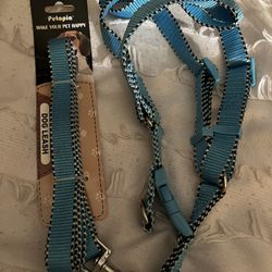 Dog Leash And Harness 