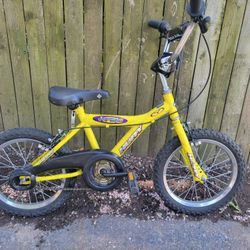 16 Inch Bike