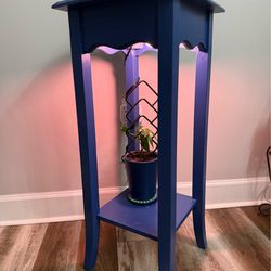 Blue Plant Care Corner Table.