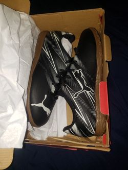 Size 4 Pumas