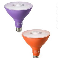 Led Halloween Lights 