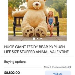 Teddy Bear 93 Feet Need To Go 