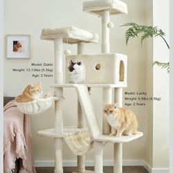 Large Cat Castle/Condo, Beige - Like New
