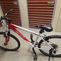 Giant Bike