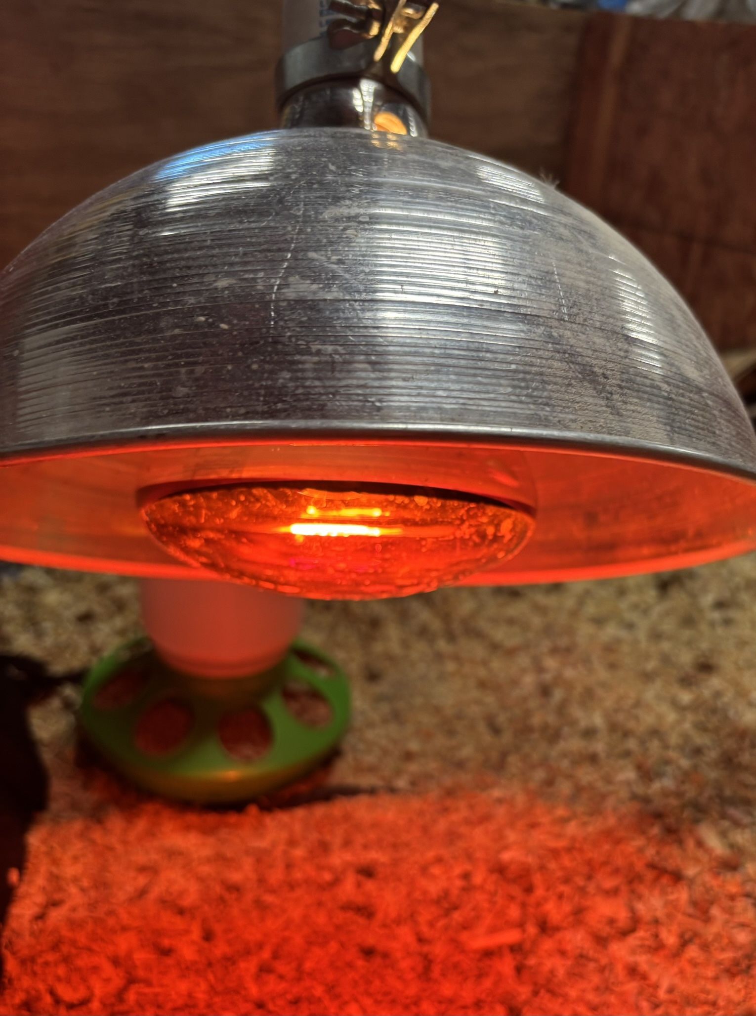 Backyard Renewable Egg Production Kit